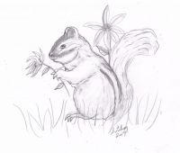 Chipper in the flowers